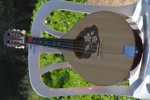 The blossoming path Stock-Fotos