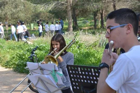 The blossoming path Stock Photos