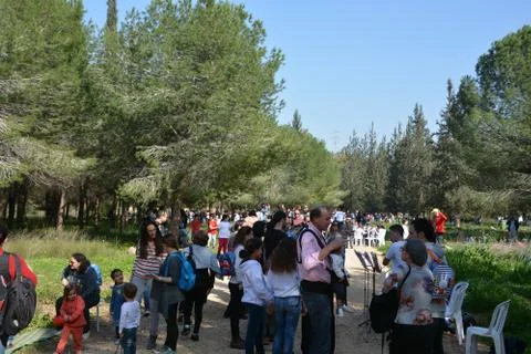 The blossoming path Stock Photos