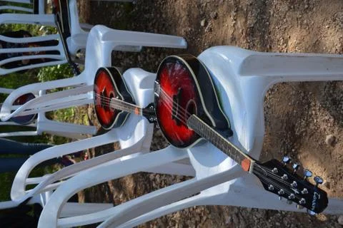 The blossoming path Stock Photos