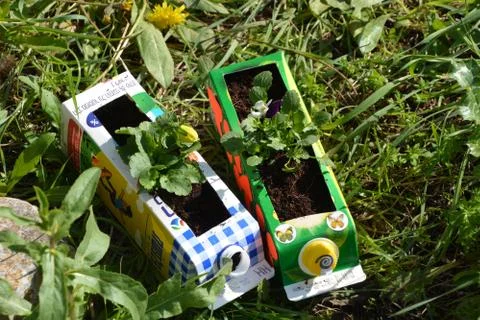 The blossoming path Stock Photos