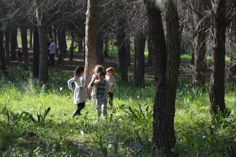 The blossoming path Foto stock