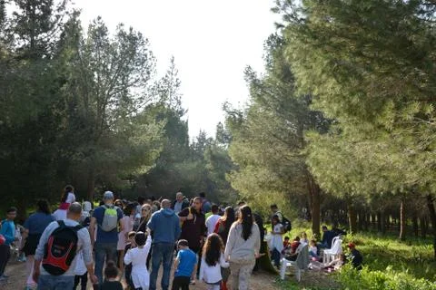 The blossoming path Stock Photos