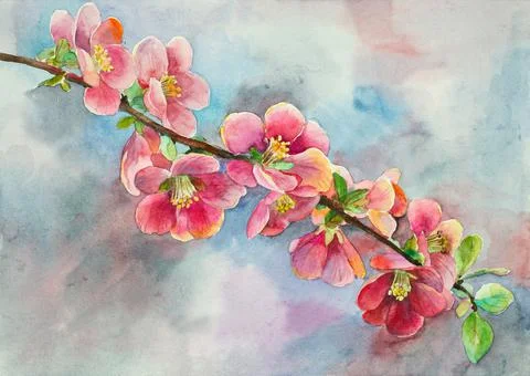 Blossoming pear branch Stock Illustration