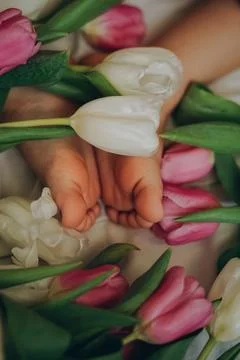 Blossoming Serenity Foto stock
