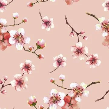 Blossoming tree branch spring time sakura cherry flowers buds seamless pattern Stock Illustration