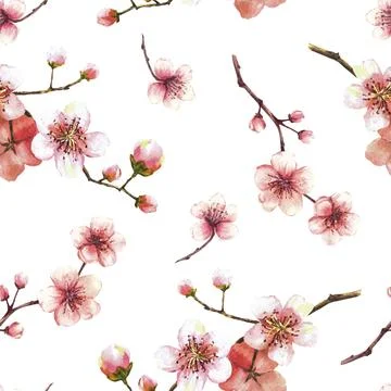 Blossoming tree branch spring time sakura cherry flowers buds seamless pattern Stock Illustration