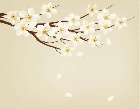 Blossoming tree brunch with spring flowers. Vector illustration. Stock Illustration