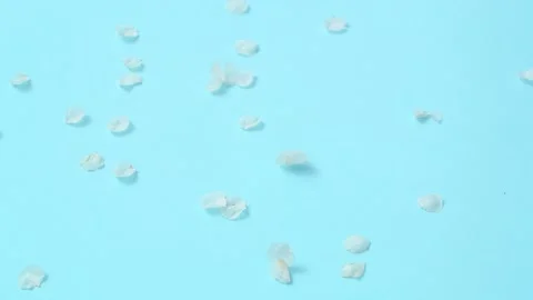 Blossoming tree leaves fall on blue background isolated Stock Footage 182017675