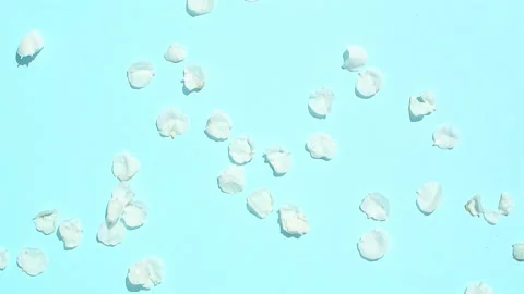 Blossoming tree leaves fall on blue background isolated Stock-Footage 183367223