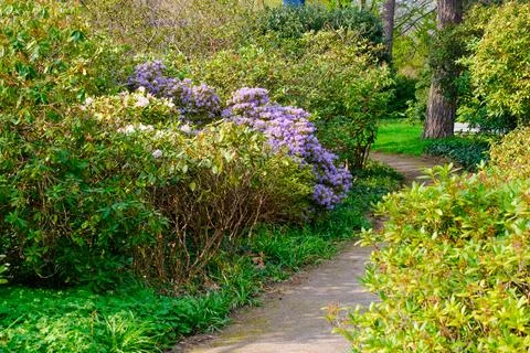 Blossoming Tree in Spring. Spring time in nature Stock Photos