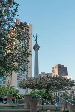 Blossoming trees add a touch of spring to the plaza in San Francisco's shop.. Stock Photos