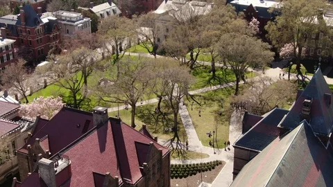 Blossoming trees over a historic campus green in Providence, Rhode Island Vídeo Stock 106599121
