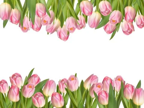 Blossoming tulips decorative border. EPS 10 Stock Illustration