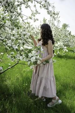 Blossoms in Bloom Foto stock