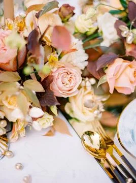 Blossoms of Elegance Stock Photos