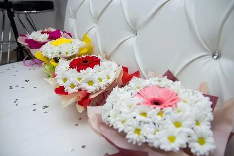 Blossoms of Joy Stock Photos