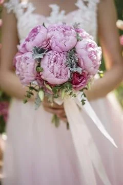 Blossoms of Love Stock Photos