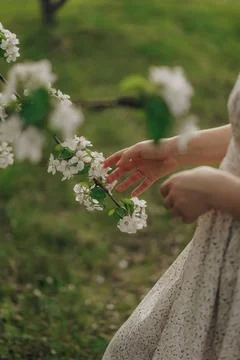 Blossoms of Spring 스톡 사진