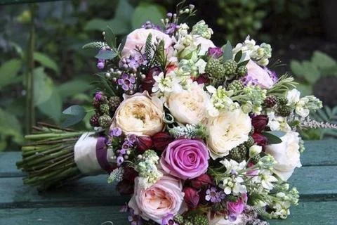 Blossoms of Summer Stock Photos