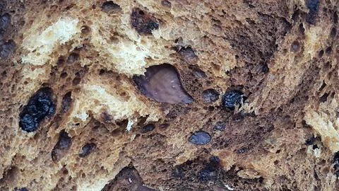 Blots. Spotted background. Surface with blots. Abstract background. Blots Stock Photos