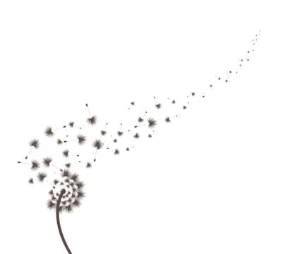 Blow Dandelion Stock Illustration