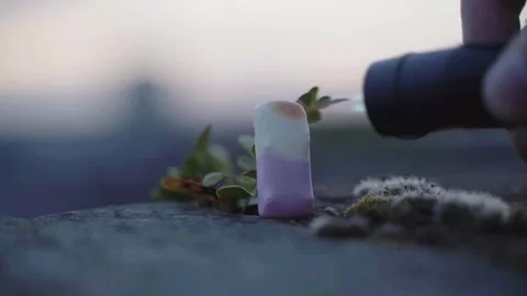 Blow torch used on soft candy until it goes on fire and is blackened Stock Footage 244689256