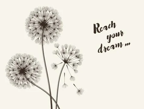 Blowball flower Stock Illustration