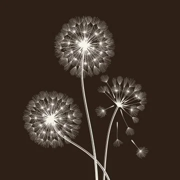 Blowball seeds Stock Illustration