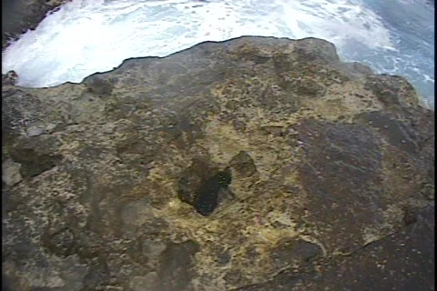 Blowhole in Jamaica 01 Stock Footage