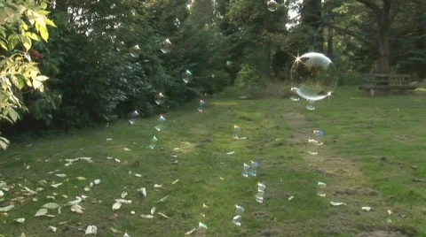 Blowing bubbles Stock Footage 505461