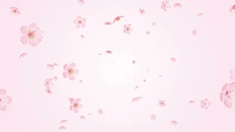 Blowing Cherry blossom particles motion background - Pale pink gradation Video stock 102540074