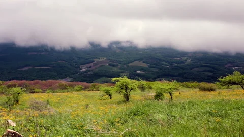 Blowing clouds and mist on Whitetop Mountain in the Appalachian Mountains Stock Footage 155026850