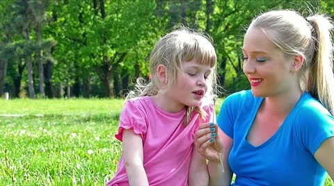 Blowing dandelion Stock Footage 24673424
