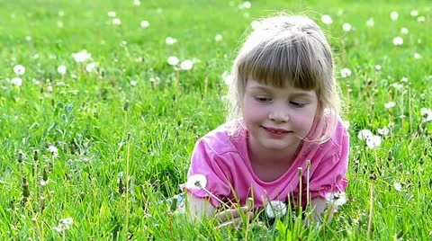 Blowing dandelion Stock Footage 24673431