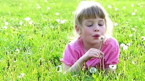 Blowing dandelion Stock Footage 24673437