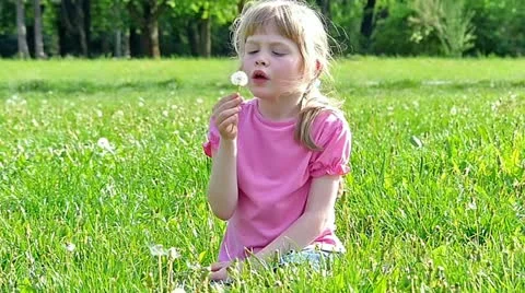 Blowing dandelion Stock Footage 24673531