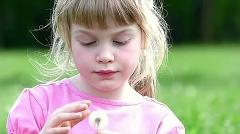 Blowing dandelion Stock Footage 24673533