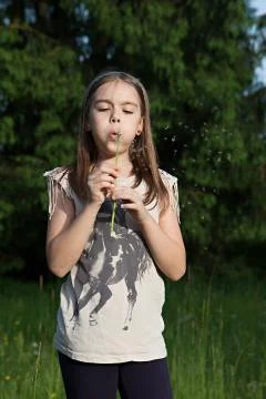 Blowing into dandelion Stock Photos