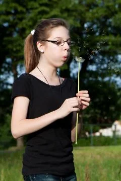 Blowing into dandelion Stock Photos