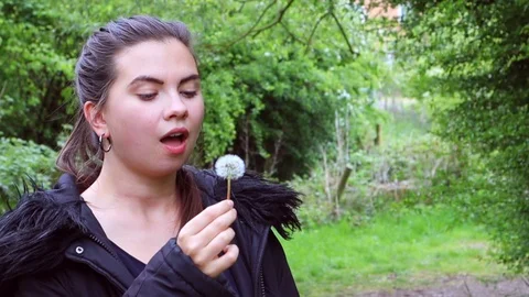 Blowing Dandelions Stock Footage 129951321