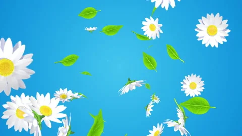 Blowing depth animation, flower and leaf particles - Blue color background Stock Footage 238980398