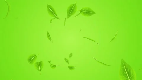 Blowing depth animation, Leaf particles - green color background Stock Footage 238981860