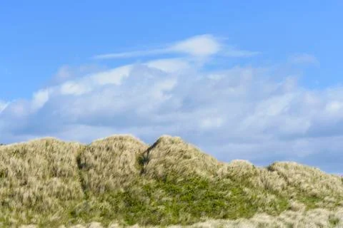 Blowing dune grass at the beach with a cloudy blue sky at Bamburgh in Stock Photos