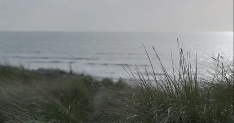 Blowing Dune Grass In Focus Sea In Background - Slow Pan Left Stock Footage 264118345