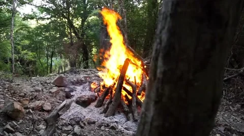 Blowing on flaming trees during a forest fire Stock-Footage 66239656