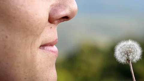 Blowing the flower - slowmotion 스톡 동영상 128714077