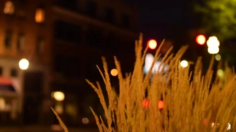 Blowing Grass In the City Stock Footage