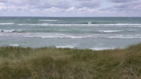 Blowing grass with waves in the background 스톡 동영상 219635082