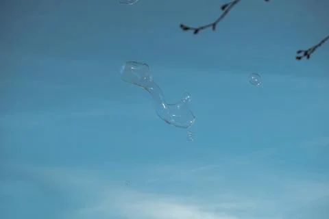 Blowing large soap bubbles in the air. Stock Photos